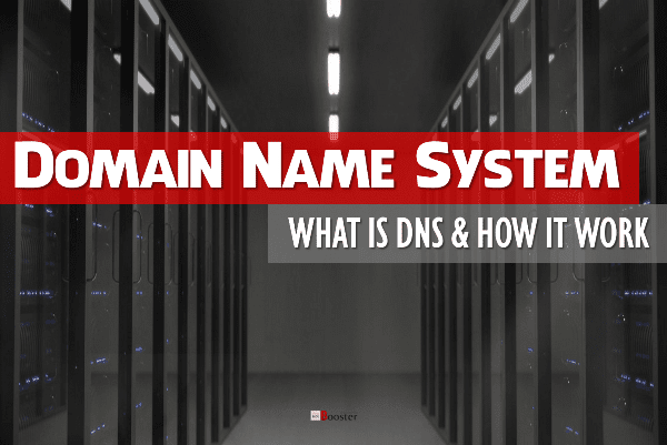 vinayaketx's tweet photo. #DomainNames System
What Is #DNS & #HowItWork #problogbooster #Hosting #Internet #Website #Purchase #Server #BloggingTips #WordPress #bloggerstribe
https://t.co/KYNRh6OsEh https://t.co/oGMi0D7HY7