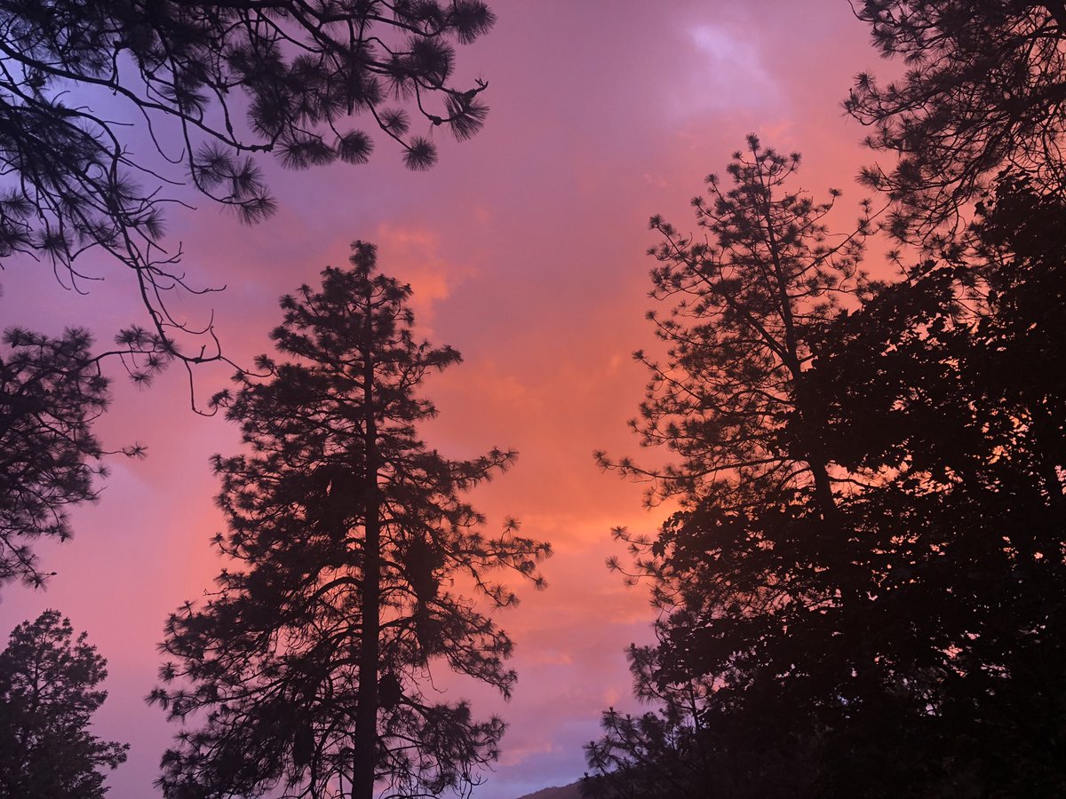 carmenweld's tweet photo. Wow! These Okanagan skies tonight 🤩! #okanagan #westkelowna #rainbownsunset #pinkskiesatnight https://t.co/IOMQ9G1SBu
