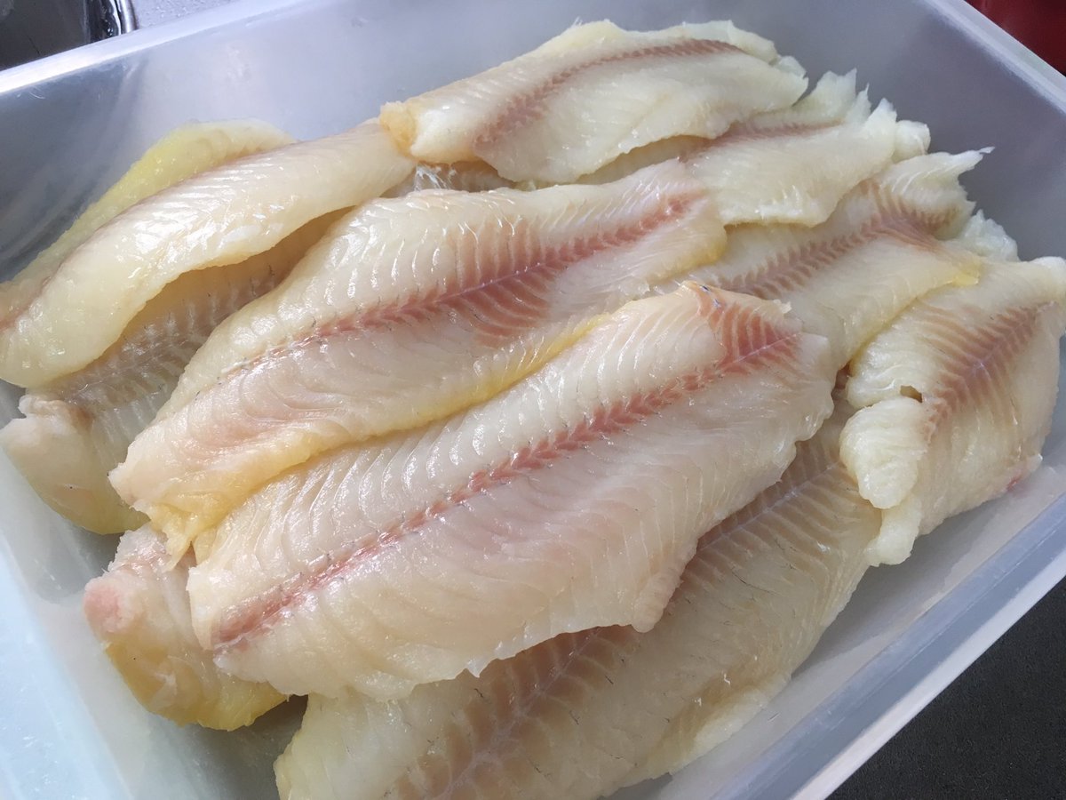もらしむ Warekara 釣ったアメリカナマズを料理酒 氷で冷やして2日間寝かせた結果 なんと霞ヶ浦の香りが完全に消滅しました これは正解を見つけたかもしれない T Co ikvyobz5 Twitter もらしむ Warekara 釣ったアメリカナマズを料理酒 氷で冷やして2日間寝かせた結果 なんと霞ヶ浦の香りが完全に消滅しました これは正解を見つけたかもしれない T Co ikvyobz5 Twitter