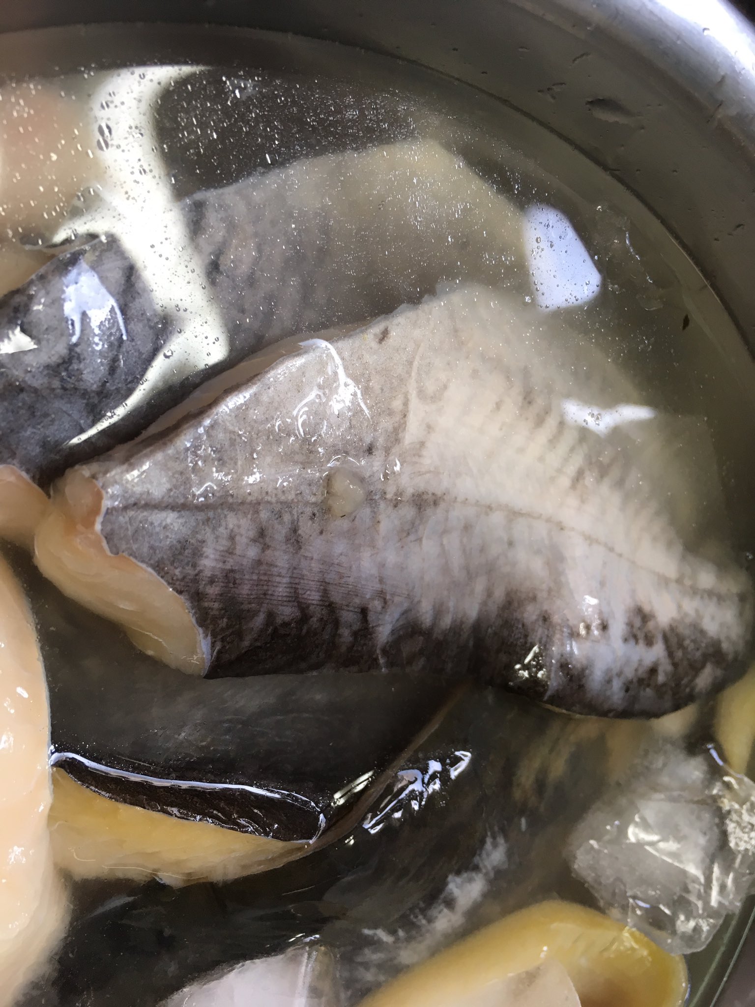 もらしむ Warekara 釣ったアメリカナマズを料理酒 氷で冷やして2日間寝かせた結果 なんと霞ヶ浦の香りが完全に消滅しました これは正解を見つけたかもしれない T Co ikvyobz5 Twitter