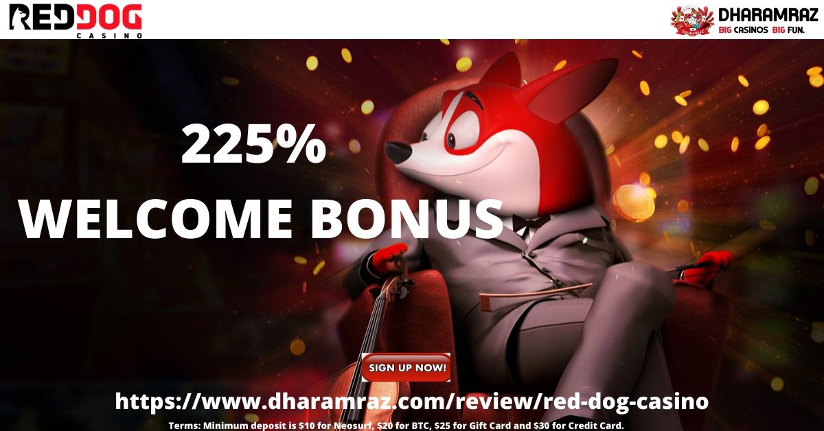 Red Dog Online Casino Review