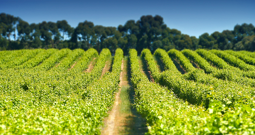 Global Table Aus tweet media