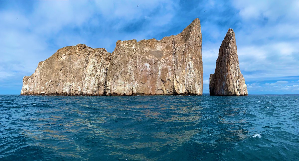 IntrepidZambo's tweet photo. We are waiting for you...  after a long time the government finally open galápagos. July 1st  we will keep you post with news https://t.co/i0MuZU8Uzi