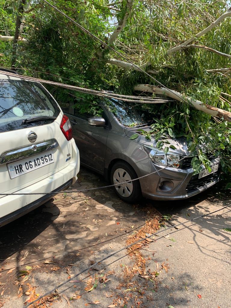 Pvvnl के नोयडा ज़िले में कल तेज आंधी एवं बारिश होने के कारण बाधित सप्लाई के लिये रात में ही गठित 15 टीमो द्वारा लगातार सही किया जा रहा है। जिसको आज मेरे द्वारा स्वंय नोएडा जाकर Sec 15-A में एवं अन्य स्थानों पर बाधित सप्लाई को मेंटेन कराया जा रहा है। <a href="/ptshrikant/">Shrikant Sharma</a> <a href="/UPPCLLKO/">UPPCL</a>