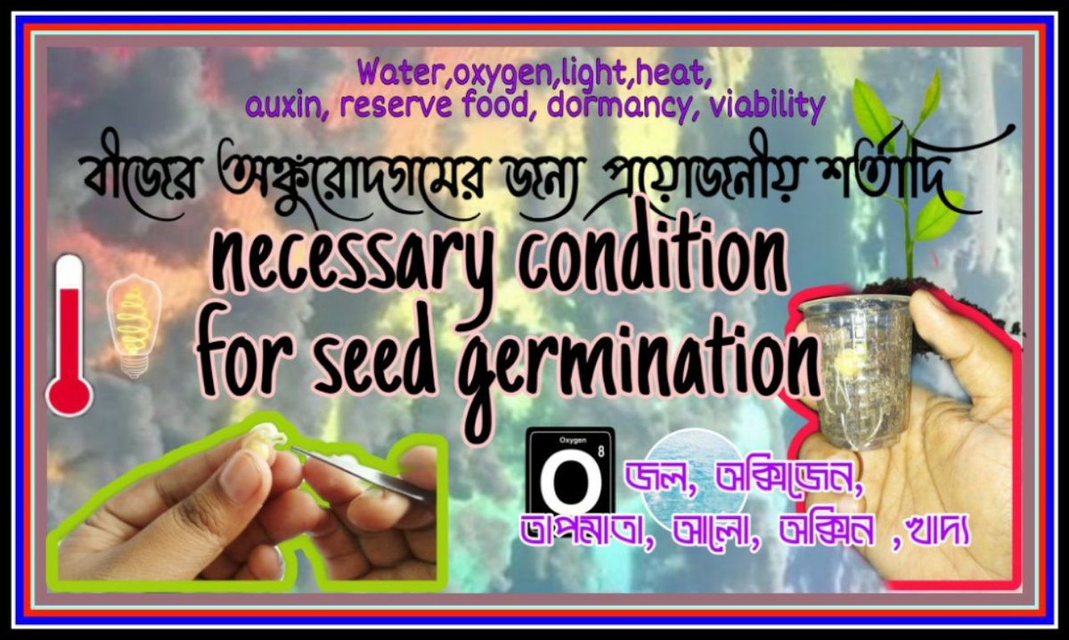বীজের অঙ্কুরোদগমের জন্য প্রয়োজনীয় শর্তাদি/what is necessary conditions... youtu.be/Ngrblk9odXA via <a href="/YouTube/">YouTube</a> 
#lifescience #botany #needbiology #germination #conditionsforseedgermination #education #lockdowneducation