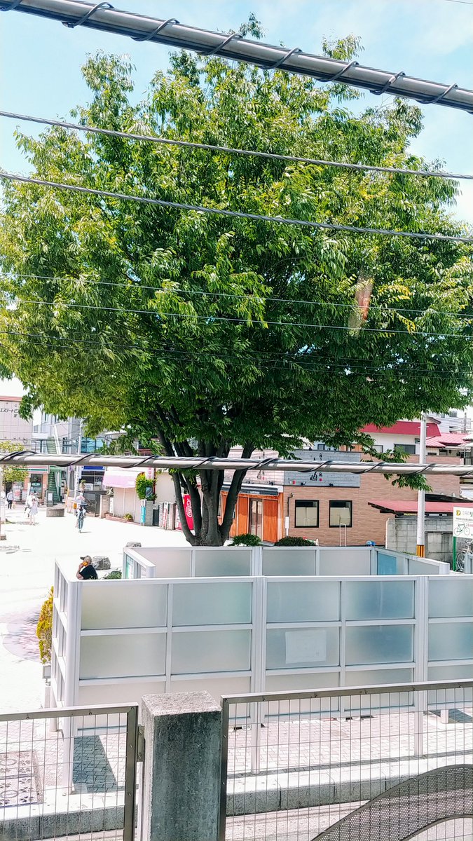 世界で一番お暇様 喫煙スペースはどこも同じデザインなのかと思っていたが結構違う 宮原駅前のここは前に木があってパワースポット的に見えた 某都内駅前のスペースは壁が格子状で丸で収容所か刑務所 バック トゥ ザ フューチャーのもう刑務所入ってる