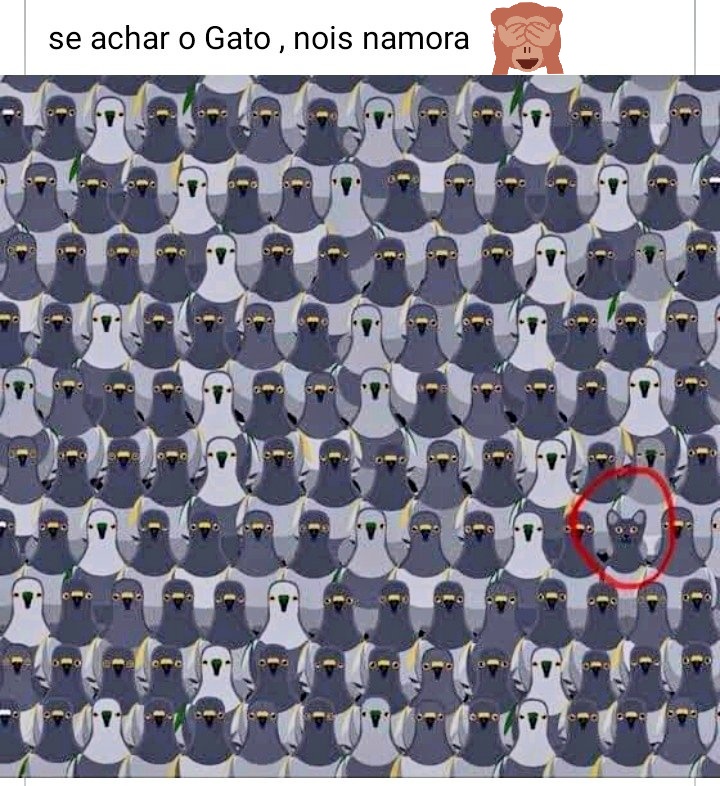 Repostei1's tweet photo. #musica #politica #ultimasnotícias #novela #esporte #livros #shows #geek #estilo #live #series #games #celebridades #cinema #televisao #artes #kpop #astrologia #harrypotter  #haha #fofo #bizarro #turismo #feriado #hmmm #nostrend #incrivel #memes #sertanejo #poprock #mpb #funk https://t.co/uw09JxxkF9