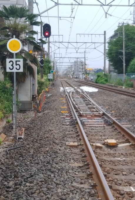 みつごん ｴ さん がハッシュタグ 青梅線 をつけたツイート一覧 1 Whotwi グラフィカルtwitter分析