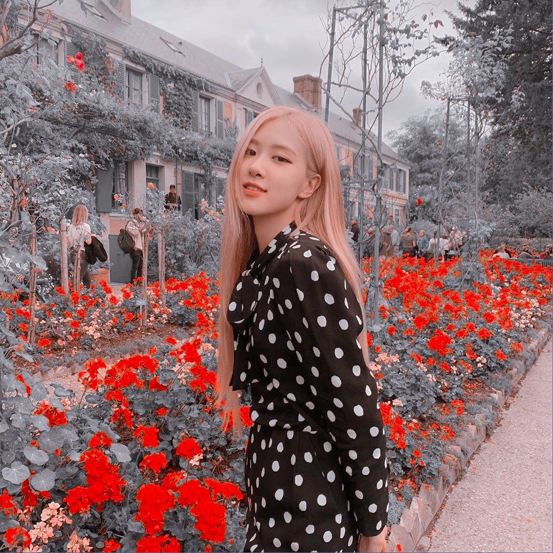 kennethicpack's tweet photo. °+. LAYOUT ROSE .+°
RULES SAVE :
* Follow me
* Comment rt/fav if you like my edits
support me to making more layout!!
#layout #layoutaesthetic #aestheticpack
#aesthetic #Pack #ROSE #BLACKPINK #layoutrose #roseestheticpack https://t.co/ZoQiFWGFKM