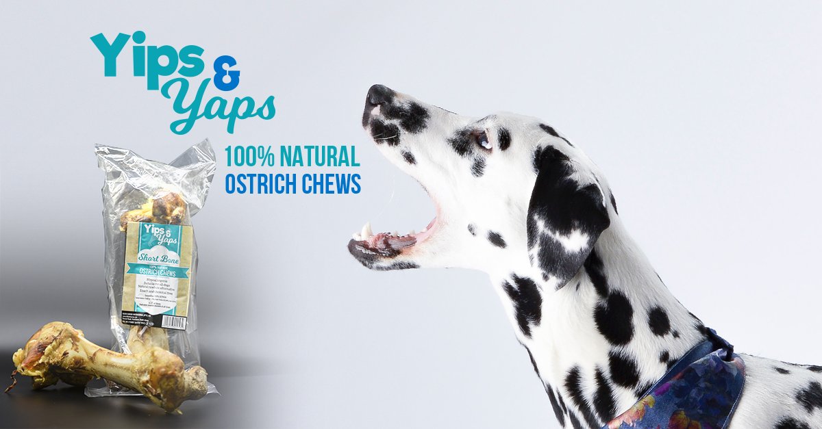 Word’s out...

Yips &amp; Yaps is a game changer when it comes to snack time for your health conscious pet!

yipsandyaps.co.za