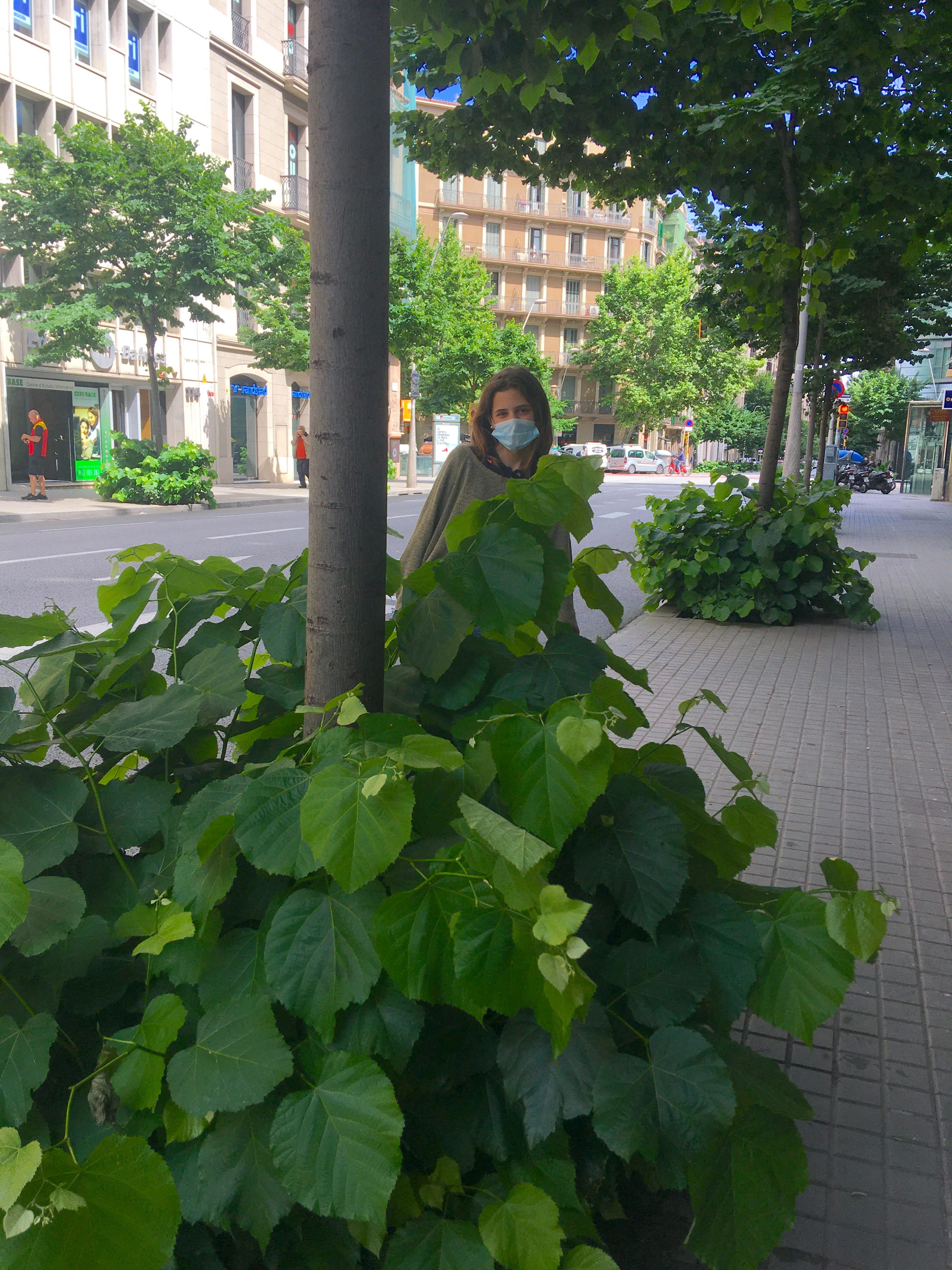 Barcelone : la ville des herbes folles