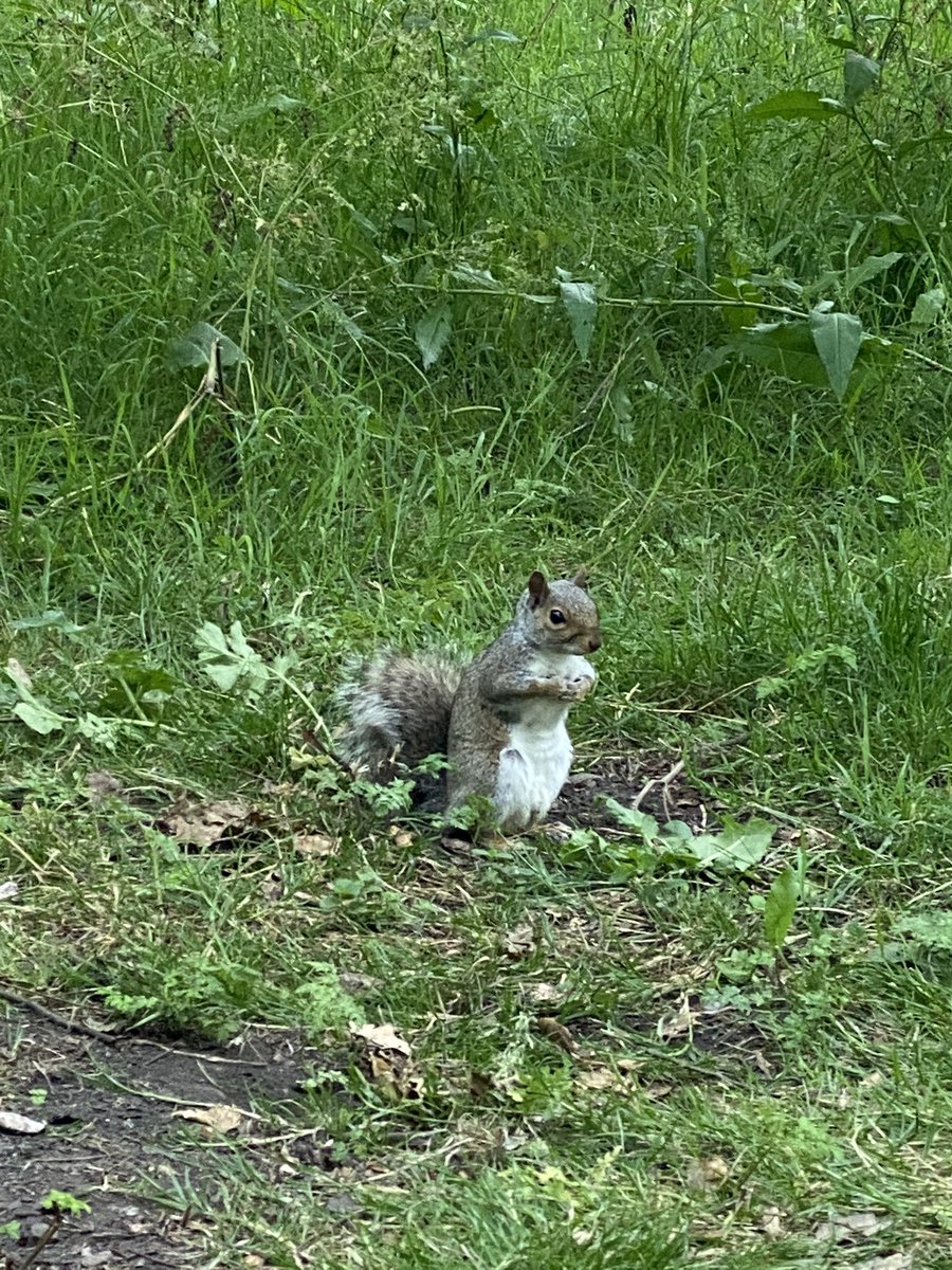 Dubai dally tweet media