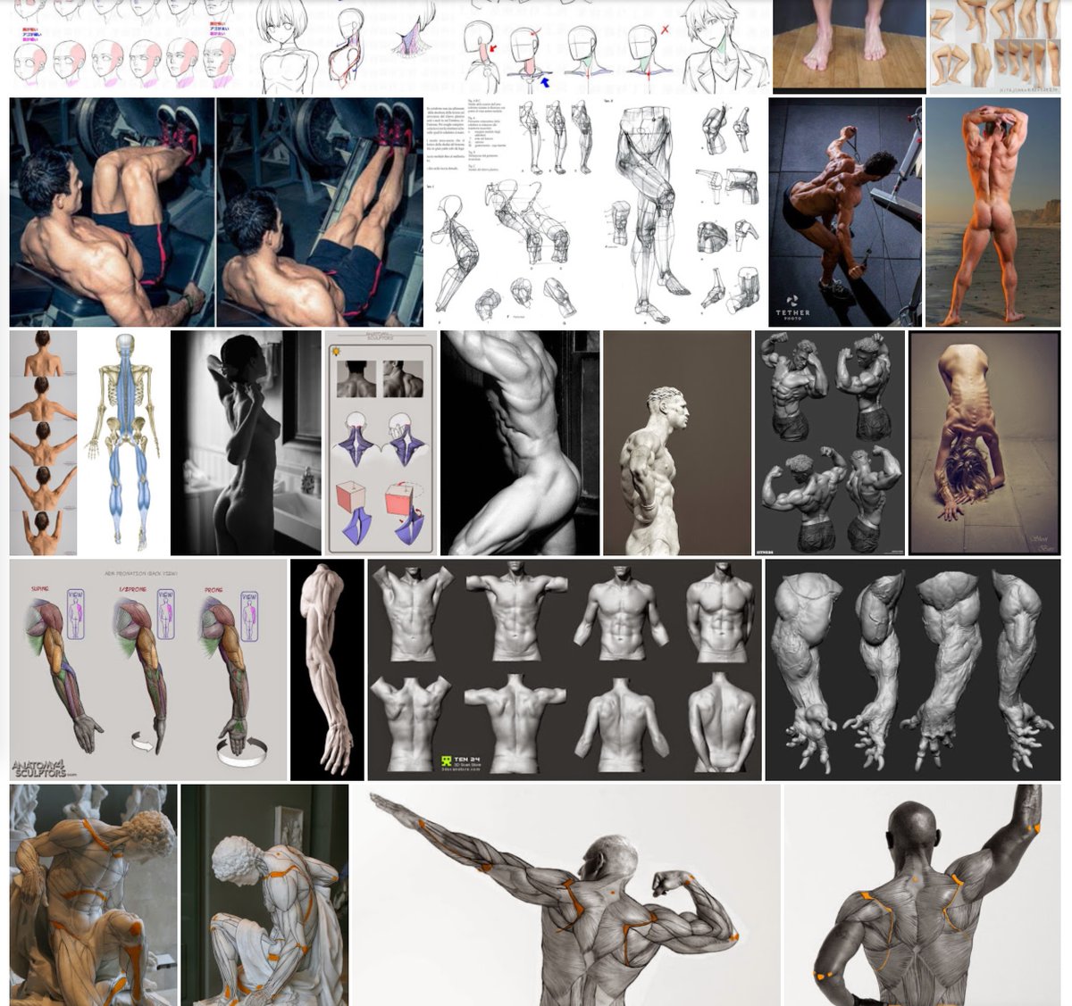 Just discovered this amazing folder full of anatomy references created by Korean artist Hyun Suk Lee and thought I'd share with y'all-it's got so much great stuff for learning how to draw the figure: https://t.co/0Mx4lJeUpO