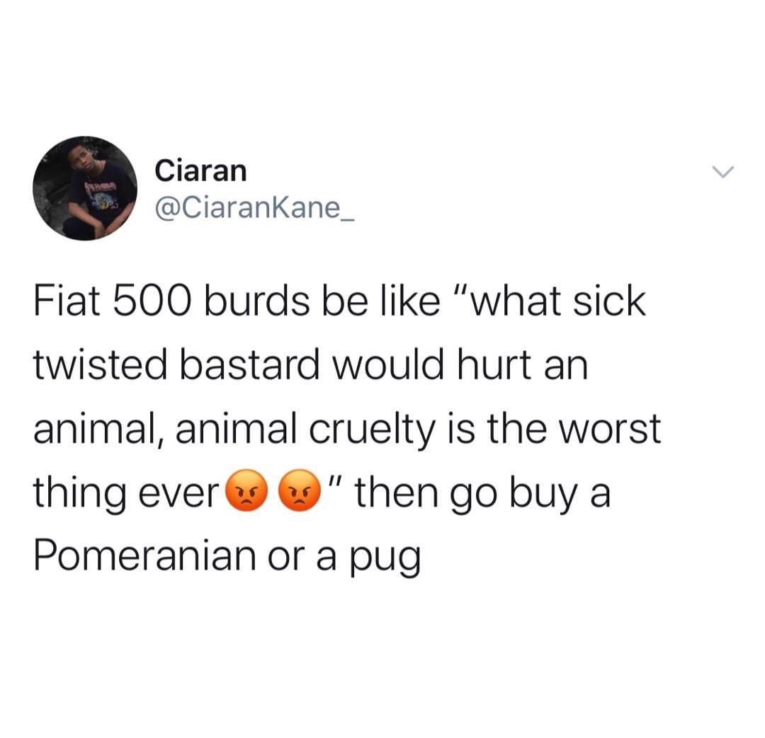 tiff_lillian's tweet photo. DEAD😂😂😂 https://t.co/Ecvhslklw3