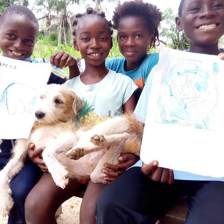 LiberiaAnimal's tweet photo. We continue to distribute #animalartwork materials to children from door to door which inspires and keeps the children learning while helping animals during the stay home period. https://t.co/r6A9R1DB7q
#HumaneEdcation #Education #Kindness #Compassion #AnimalsMatter #Animals https://t.co/vq3nnP22jt