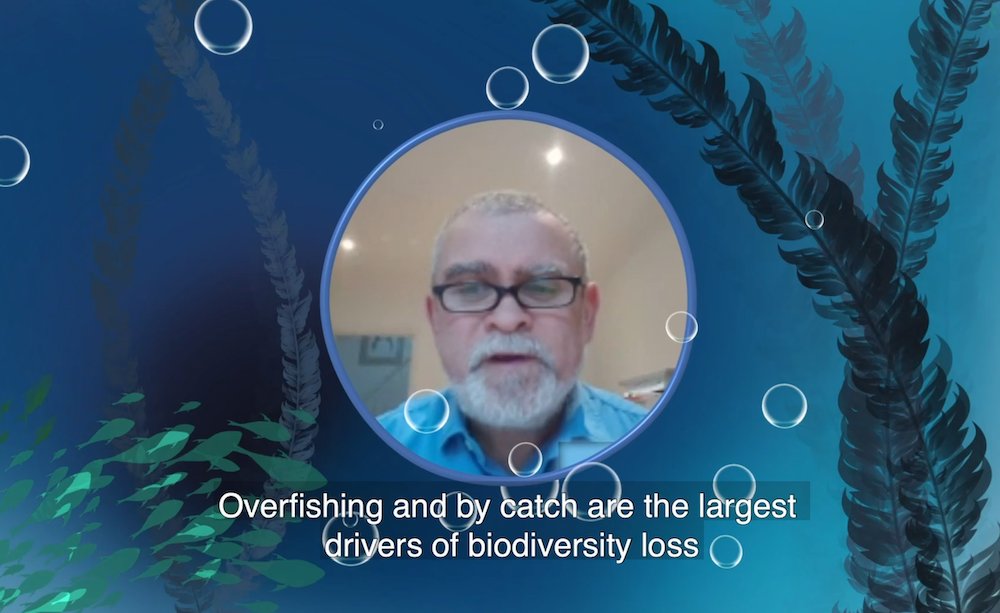 #breaking: Scientists Launch Call to EU: Ending Overfishing Is Climate Action bit.ly/2AXZfUi <a href="/EU_MARE/">EU Maritime & Fish</a> <a href="/VSinkevicius/">Virginijus Sinkevičius</a> <a href="/SebVillasante/">Sebastian Villasante</a> @Easkeysurf