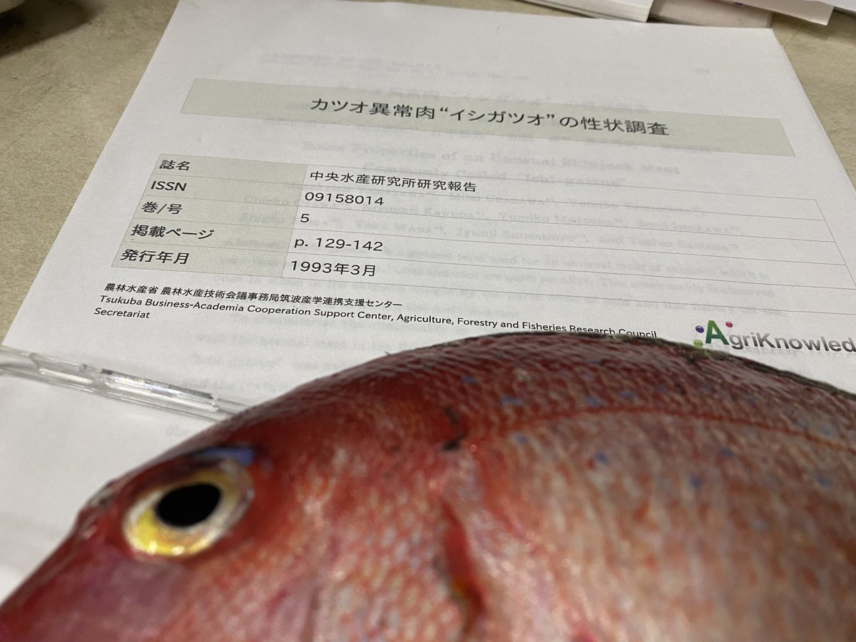 多田水産 冬休み中 官能検査って言い方がなんかエロい 鰹って面白いね 多田水産 冬休み中 官能検査って言い方がなんかエロい 鰹って面白いね