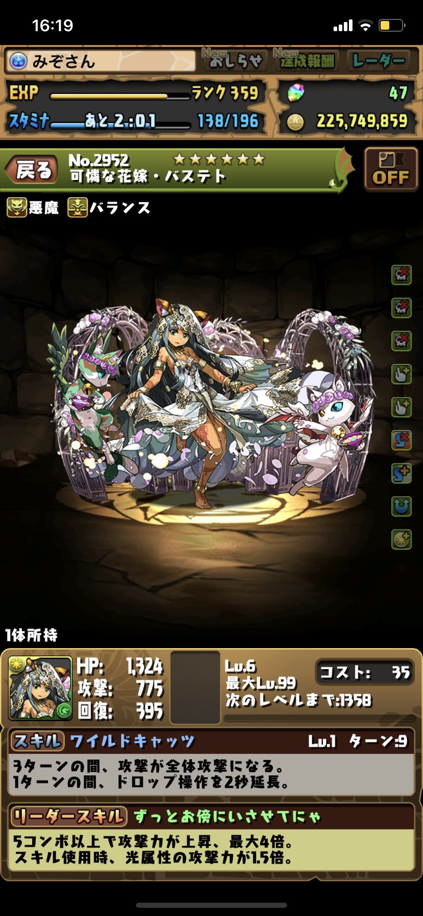 しぐま やったっぁぁぁぁぁぁぁぁ ついにお迎えできた 花嫁バスにゃんキター パズドラ バステト ジューンブライド 花嫁バステト T Co Y9ldqqwjjn Twitter