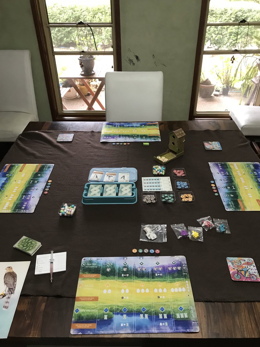 BlackRabbitGam1's tweet photo. Sunday diary of family gaming 1st time with others in COVID-19. Played #Wingspan with the new player mats (nice); #Sagrada #Incagold #Bangthedicegame & #Quacks . Between 4 & 7 players & wow it was nice to play again in person. Happy gaming. #tabletopgames https://t.co/afW76Ik1Sz