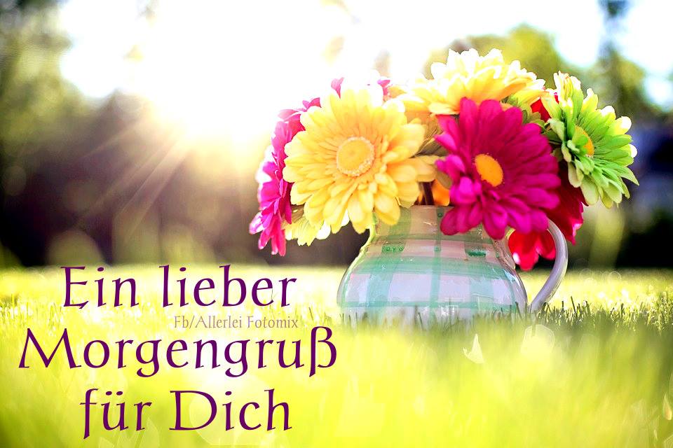 Good morning everyone. Have a lovely day! 🙂