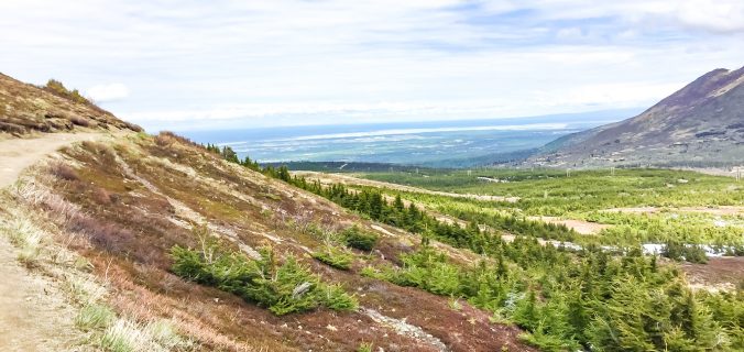 DrmAndWandrland's tweet photo. https://t.co/ShutnojLi6 The first stop of my #TriptoAlaska gave me loads “awes” and “ohs.” Why? Read on, and learn about unique and awesome things to do in #Anchorage! #Alaska #USATravel #visitanchorage #theclqrt #travel #travelblogger #BloggersTribe @VisitAnchorage @TravelAlaska https://t.co/Is2eRvNDnn