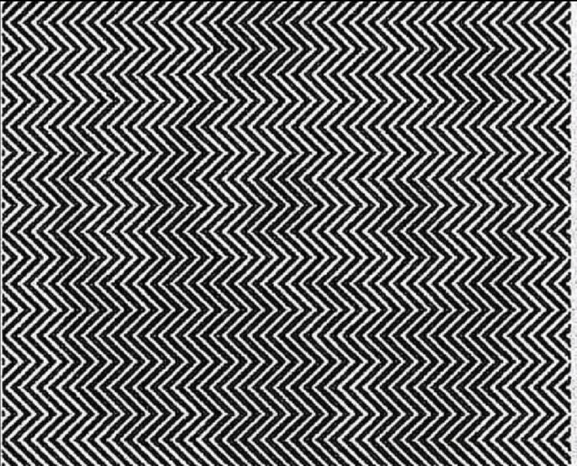 TalChan84's tweet image. Wat zie jij hieronder? #puzzel #denken #afbeelding #ziejijhetdirect