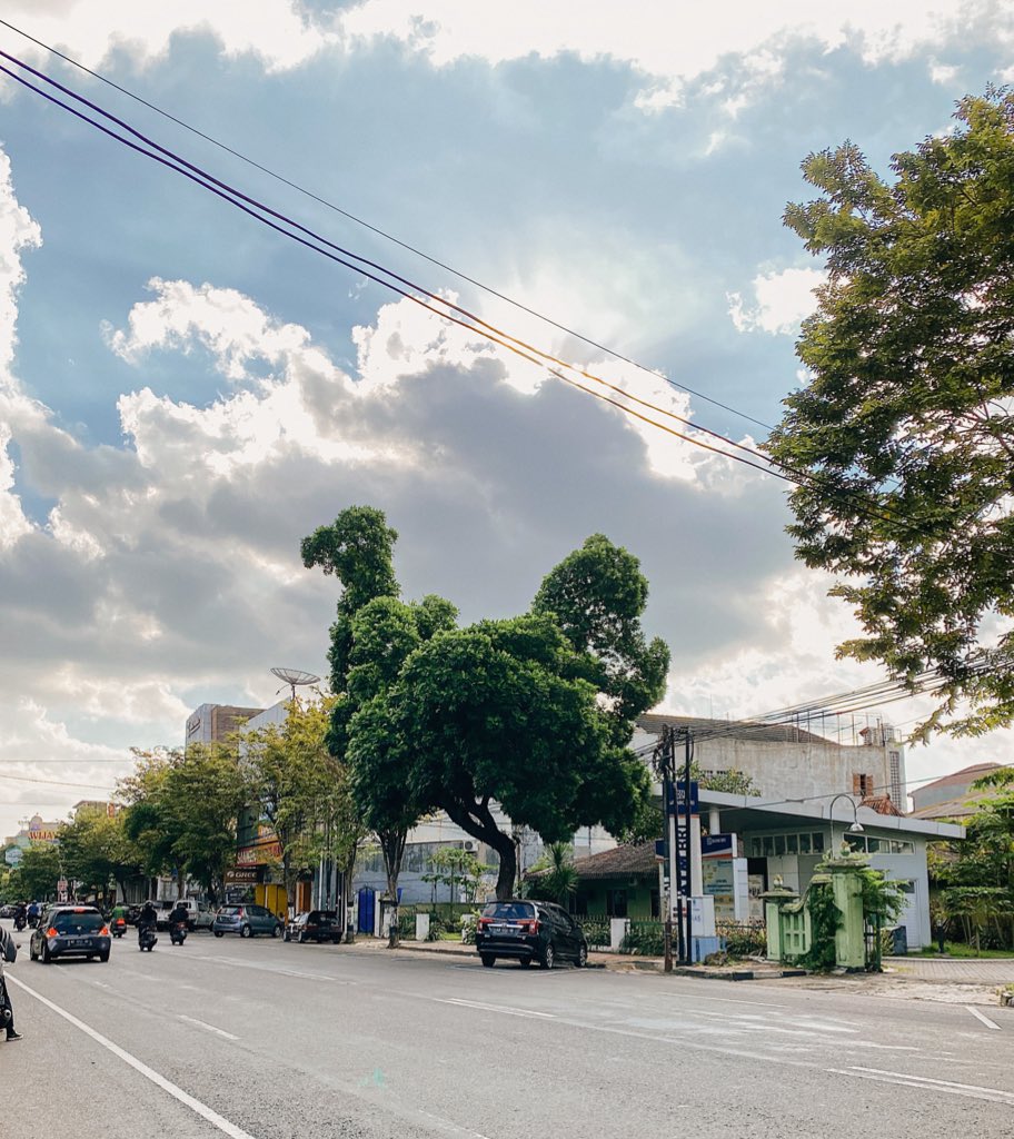Lagi sadar kalau di Jalan Solo setelah XXI Empire ada Pohon bentuk ayam gini  
<a href="/detranium/">Detranium Photography</a>