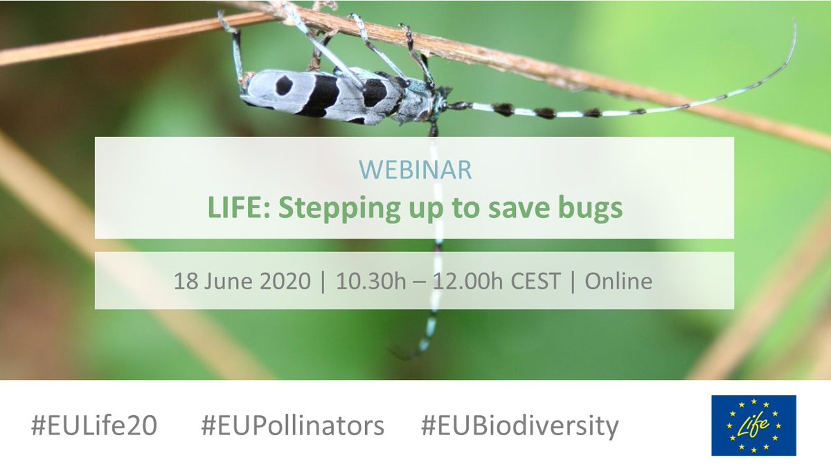 One more week to go for our #webinar 'LIFE stepping up to save #bugs!' Register today ec.europa.eu/easme/en/webin… #EULife20 #EUpollinators #EUbiodiversity If you work on #pollinators pollinators, make sure to include your initiative on this great EU Info Hive bit.ly/37mXTig