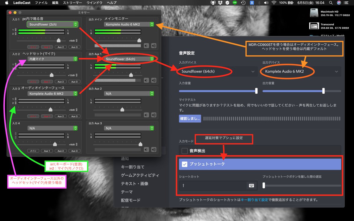 まぁり 本腰 同じセッティングでもう一度試してみたらうまくいった なんでや Ladiocastとオーディオi F側じゃなくてsoundflower側の音量上げてみたのが良かったのかしら ただ シンセの音声や画面共有で音声出すとレイテンシーの問題かめちゃくちゃ