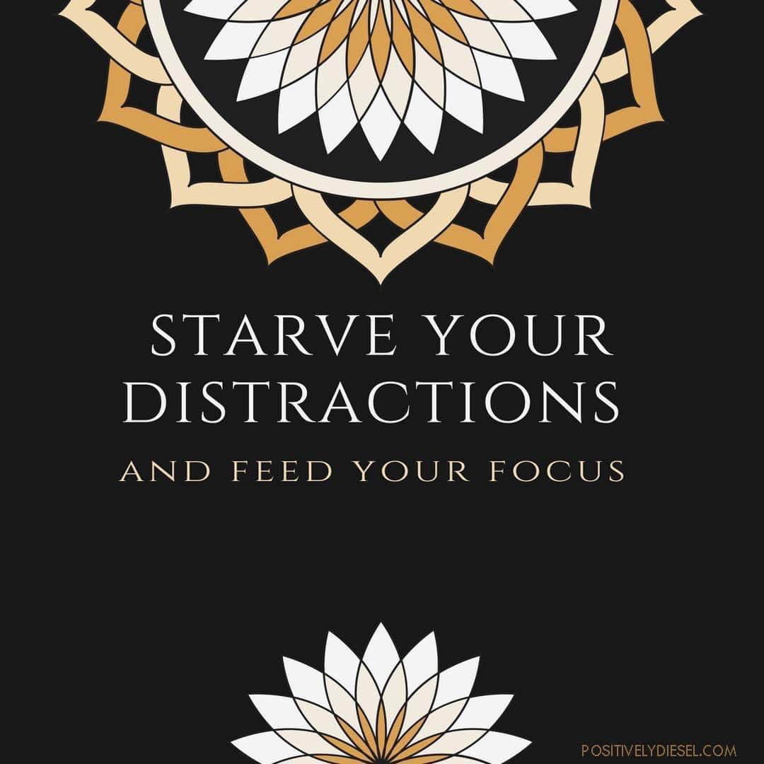 DieselDonnaD's tweet photo. DISTRACTIONS are a FRUITLESS use of your ENERGY 💫 Stay the course, stay focused on your #goals! Don't ever let anyone tell you that you can't or that you won't. Let your work speak for itself. It's not going to be easy, but it is so worth it ‼️ https://t.co/GwwEORpduR