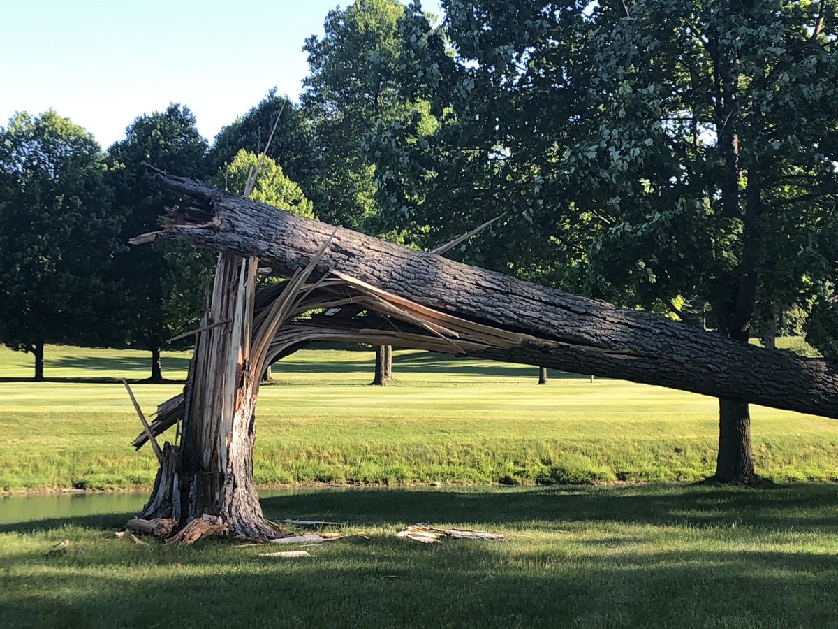 JTgolfsuptSHGC's tweet photo. ⁦@SycamoreHillsFW⁩ Just another storm at Sycamore. Thankfully this was the only tree to come down. Crew will have it cleaned up in no time! https://t.co/ASvE9nKi5E
