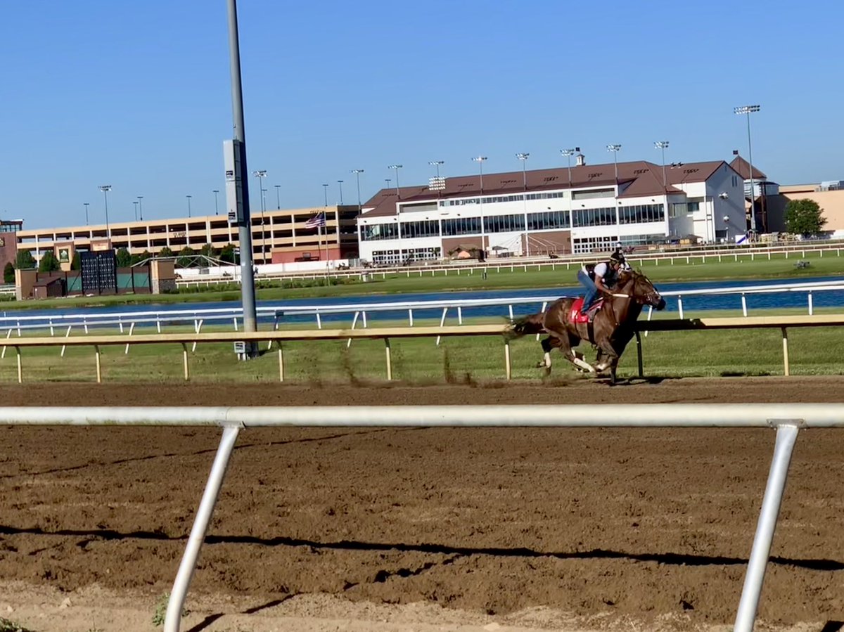 NancyUryHolthus's tweet photo. Perfect morning and so happy to be back @IGRaceCourse. Monday can’t come soon enough!
#workers #firstafter #letsgo https://t.co/KxVubvgkM1