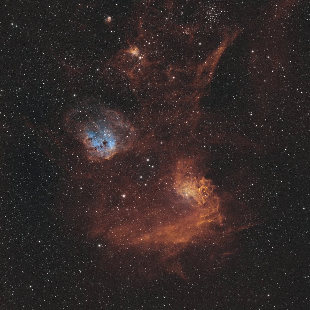 ForaaaxX's tweet image. 