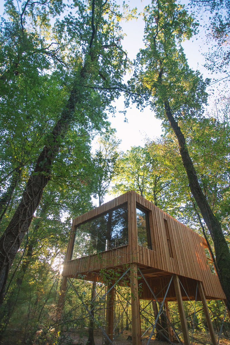 Touraine_ADT's tweet image. Envie de #vacances? @lequipe vous propose de déconnecter du quotidien pour une reconnexion avec la #forêt🌳
Passez 1 séjour de rêve à #Loire Valley Lodge où l'#art se mêle à la #nature🍃
Un article à lire ici➡️bit.ly/37l4wBl

#cetetejevisitelafrance #jeudiphoto #Touraine