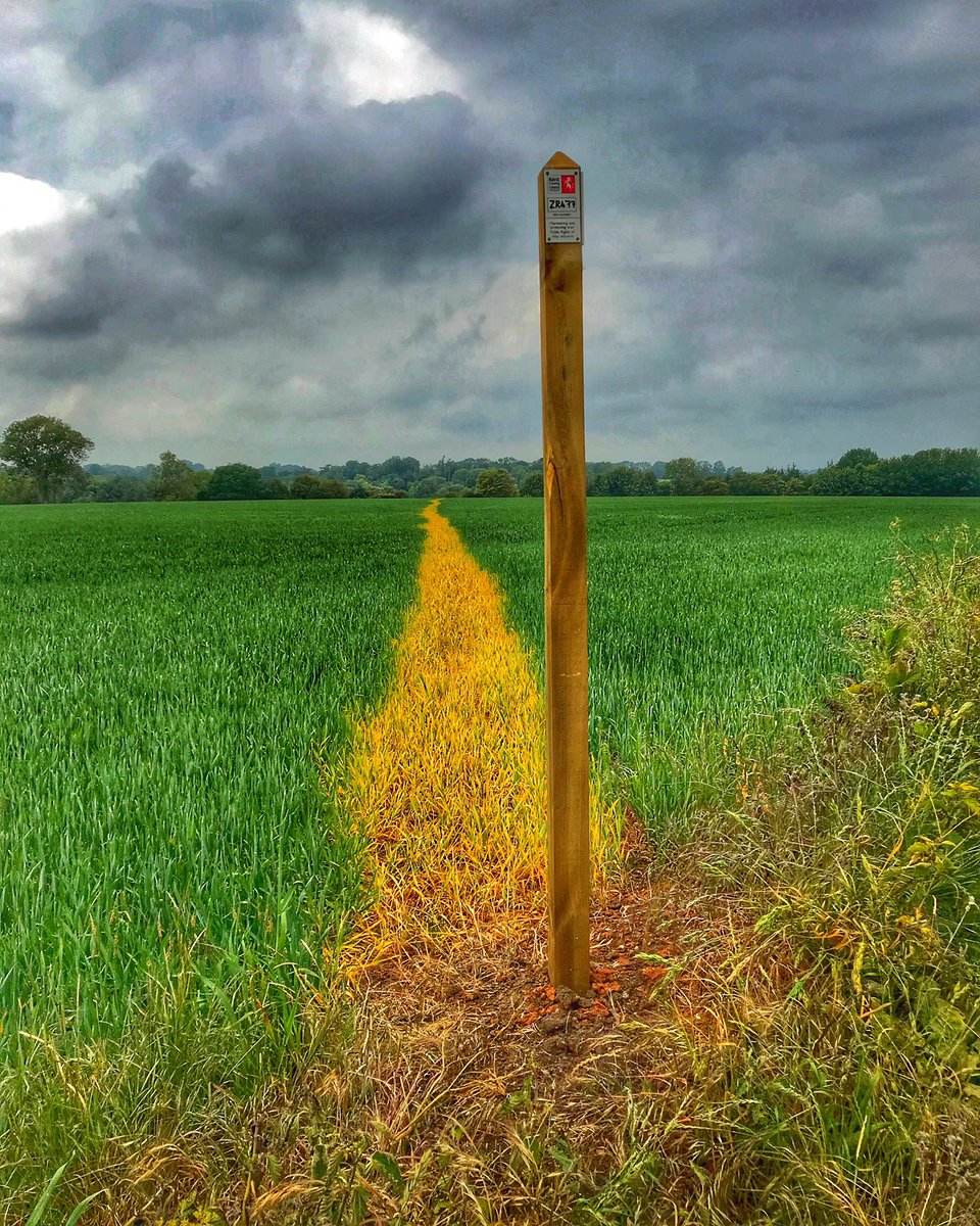 PKnndyMartin's tweet photo. Follow the Yellow Wheat Road.
#StormHour #ThePhotoHour @FotoRshot #Weather #clouds #wheatfield @EarthandClouds #badlesmere #Kent https://t.co/5gaEqY8TGf