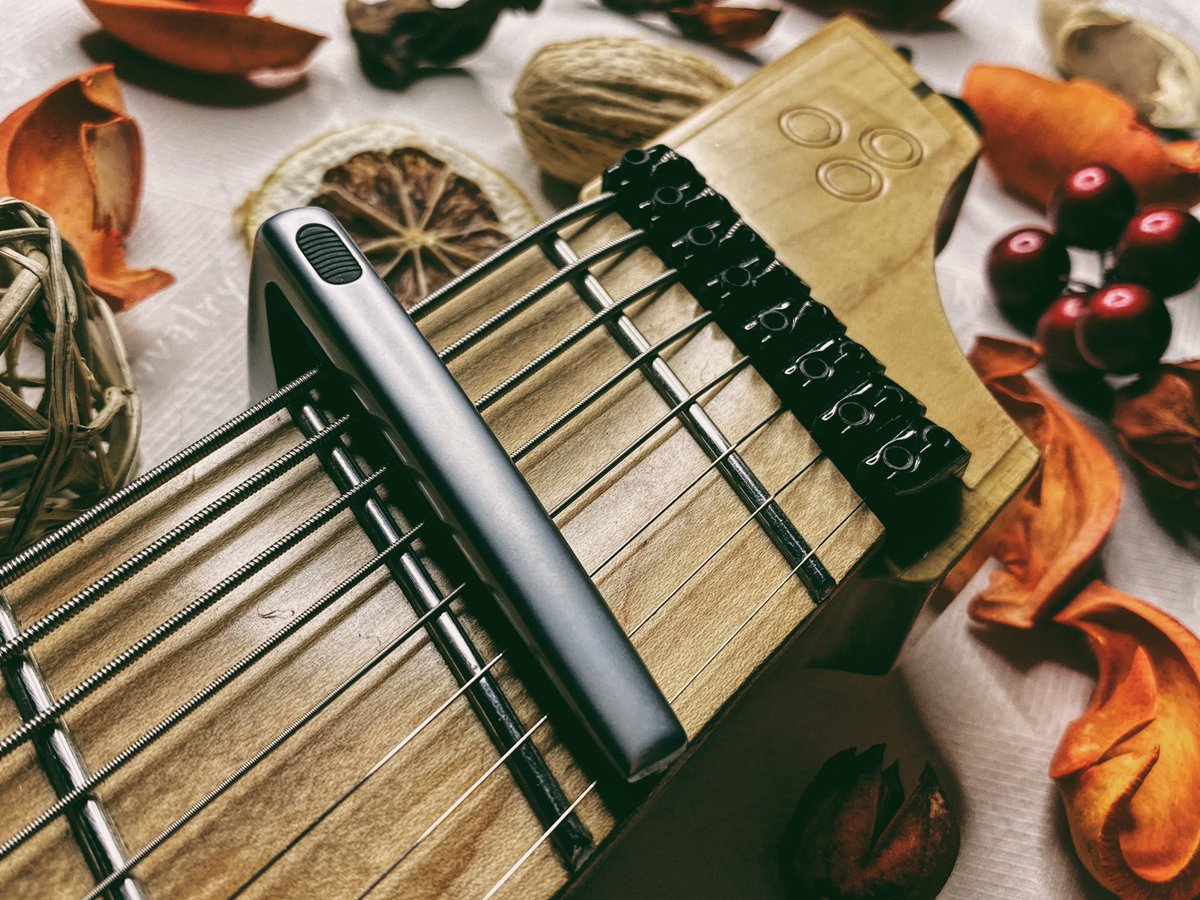8弦ギターに使えるカポ

G7th - Performance 2 Capo Silver
for Classical Guitar
