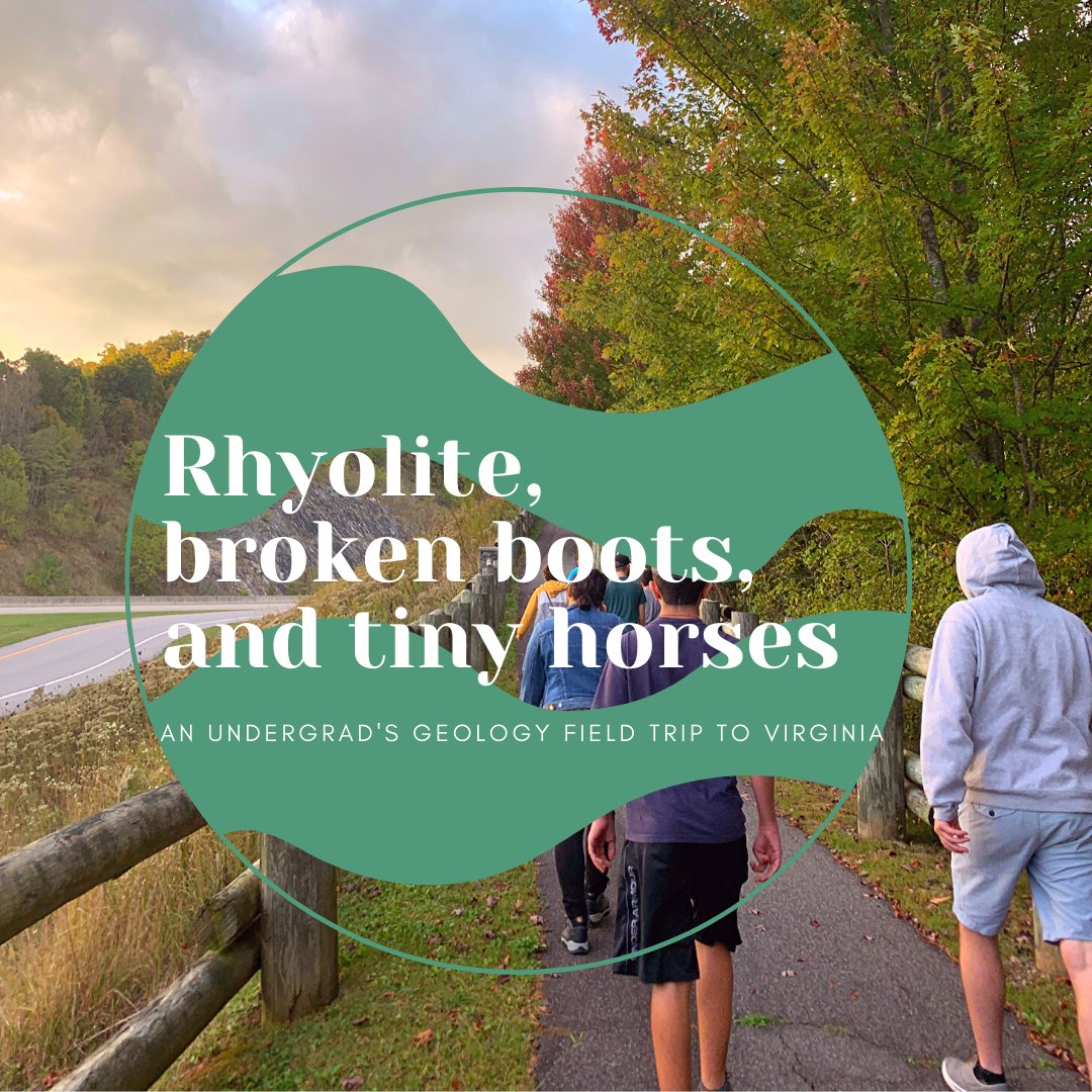 TimeScavengers's tweet image. #FieldExcursion by guest blogger Mckenna Dyjak. Mckenna talks about her Mineralogy class field trip to Virginia that was full of  geology, hiking boot mishaps, &amp;amp; wild ponies. Read more about Mount Rogers Formation &amp;amp; the famous Virginia Creeper Trail: wp.me/p8kpy9-5fA
