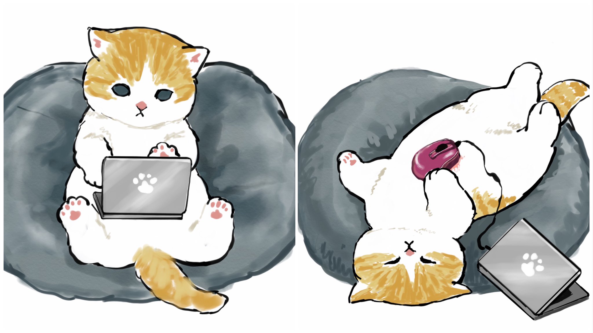 Котики Mofu