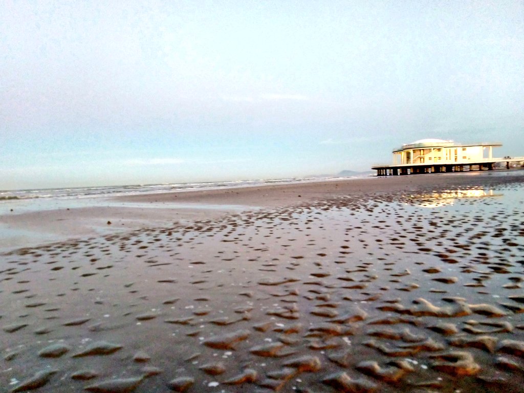 Senigallia tweet media