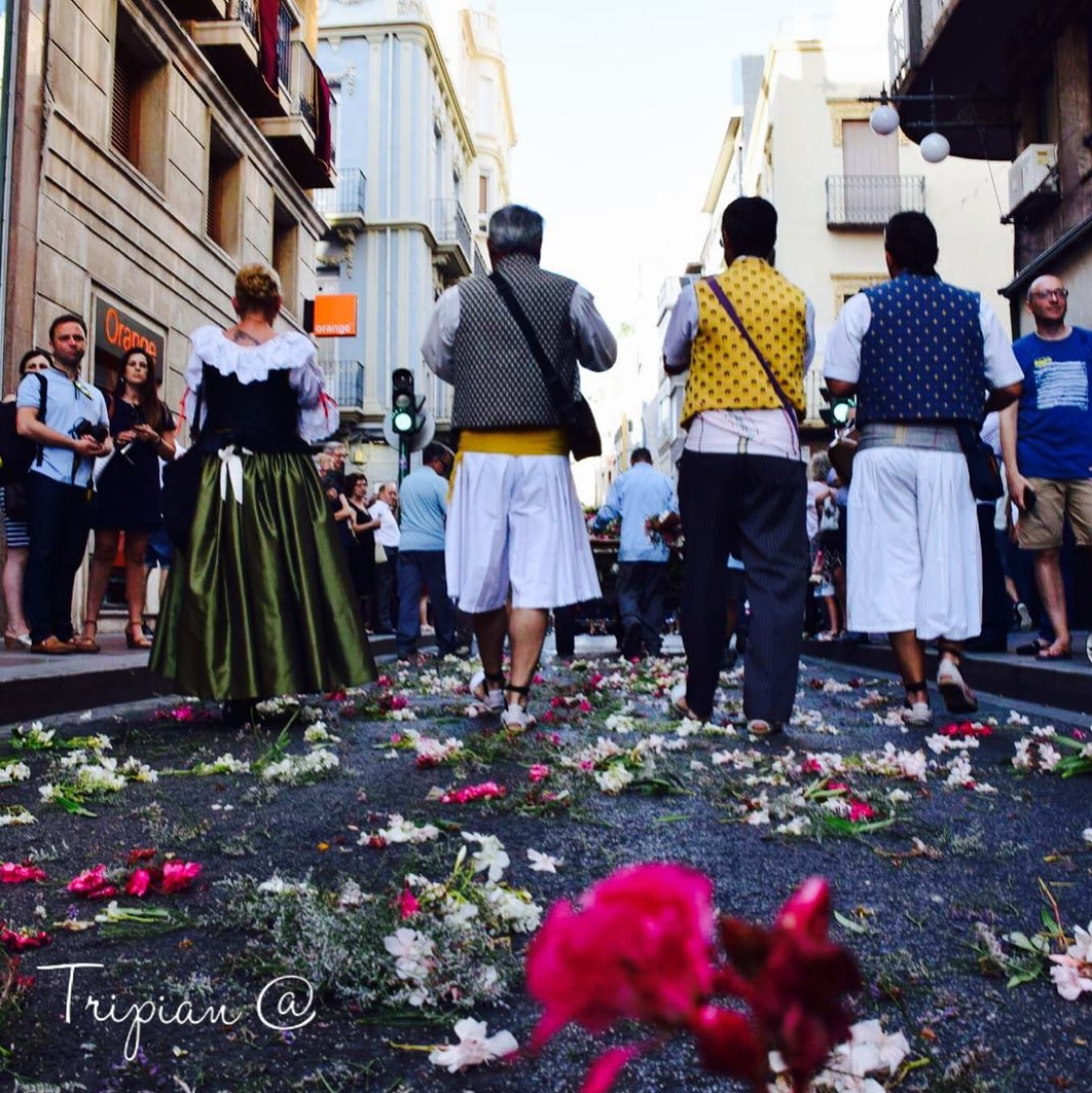 CorpusChristiElx tweet media