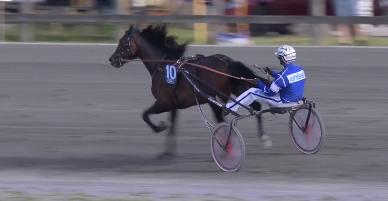 equidia's tweet photo. #Trot #International 🇸🇪
Ce mercredi 10 juin au soir, la propre sœur de Readly Express, Fabulous Pellini (#ReadyCash et Caddie Dream) a fait forte impression sur l'hippodrome de #Vaggeryd.
Pilotée par Erik Adielsson, cette protégée de @stallbath demeure invaincue en 2⃣ courses. https://t.co/iT4tFx9aKW