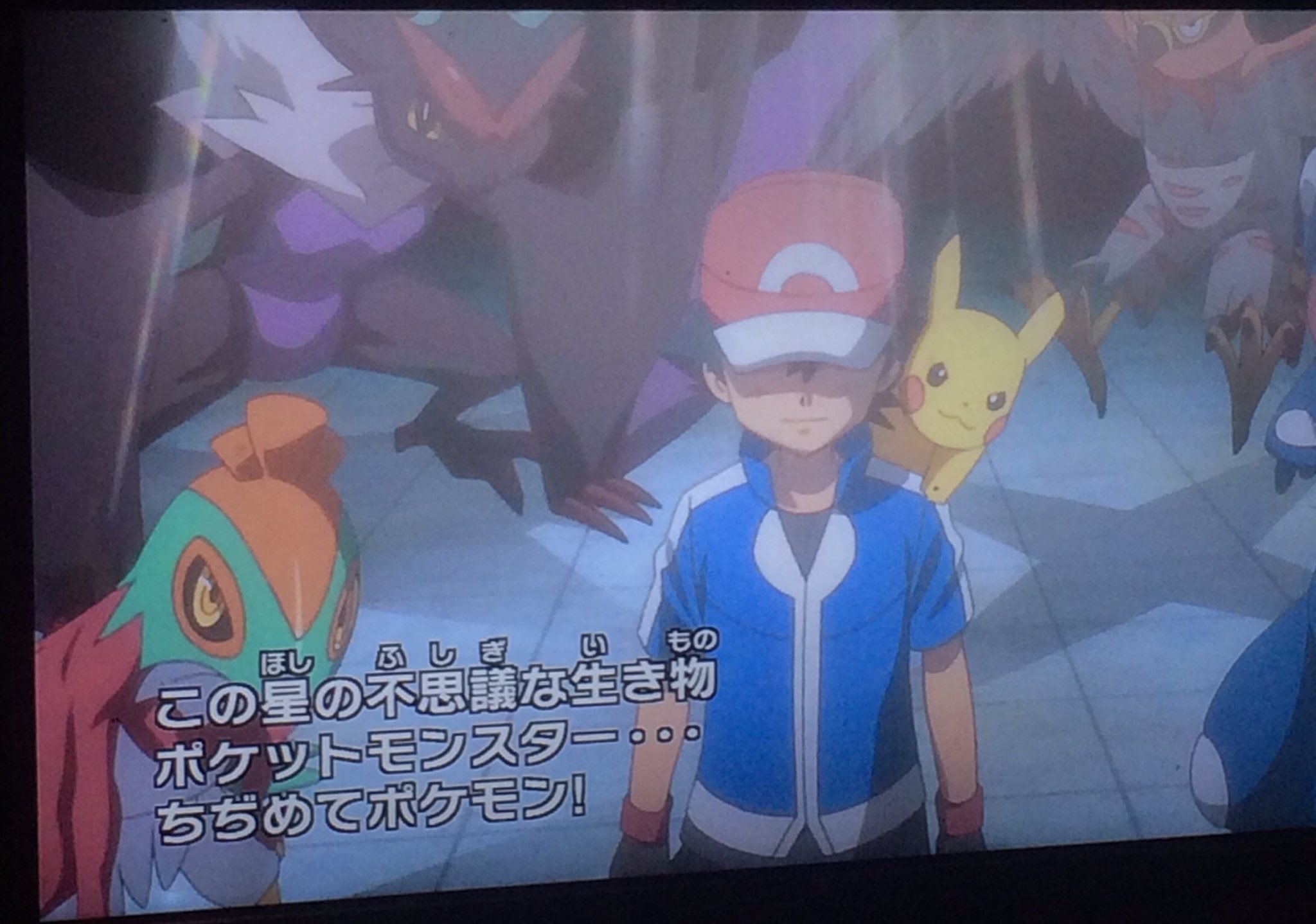 アニポケxyz Twitter Search Twitter