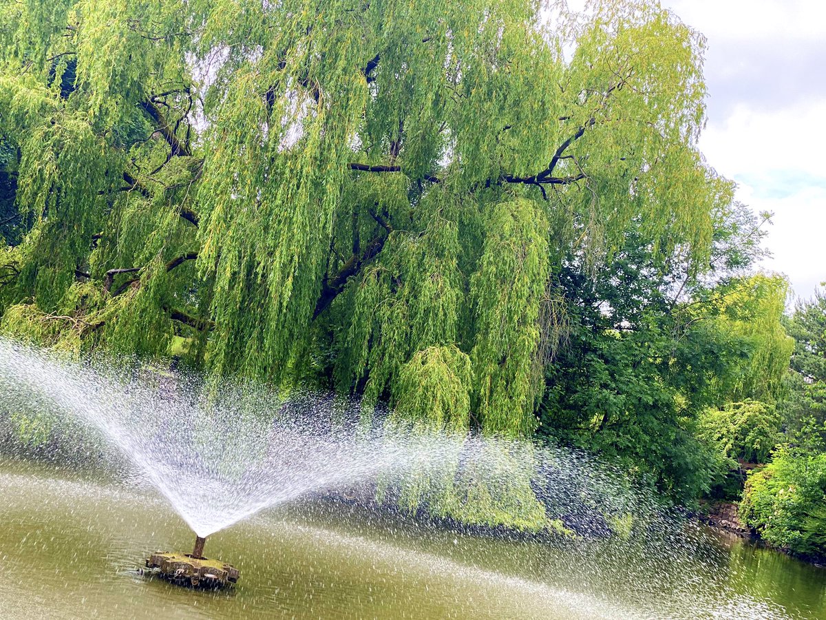IanOrton2's tweet photo. Beautiful Burslem Park yesterday! 🚶🏻‍♂️😍 Another stunner from @SoTCityCouncil I didn’t know existed! 🤦🏼‍♂️ #Burslem #StokeonTrent #LockdownLife #Parks https://t.co/Lj90UH9WBL