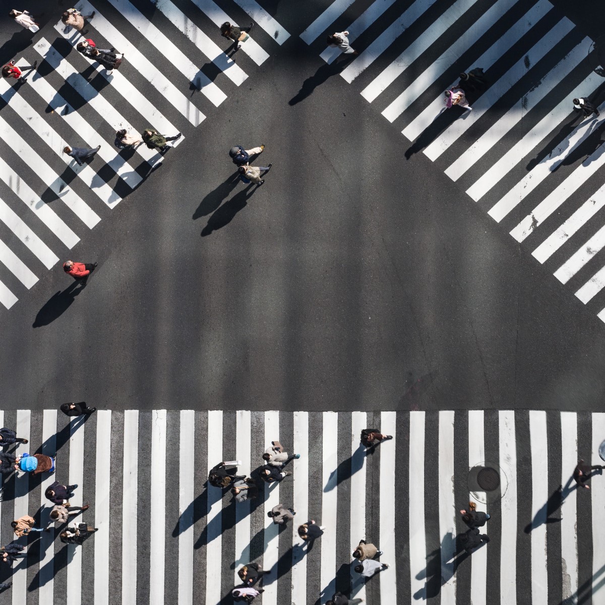 AUTONOMY's tweet image. Walking as a Service: low-tech but high profit? - mailchi.mp/435f4424ab3b/w…