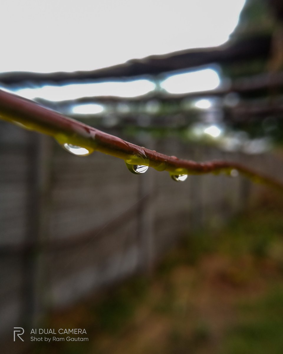 lensofaperture's tweet photo. Water drop series.
..
#waterdrop #macrophotography 
#macroworld #macropics 
#realme #shotonrealme 
@realmemobiles @realmeLink @MadhavSheth1 @refined_pixel @sinhaankit49 @thelensartt @chaitanyaa_14 @harshclicks @anuragclicked @ankit__azad @keerthan_kamath https://t.co/v69g0NSlGo