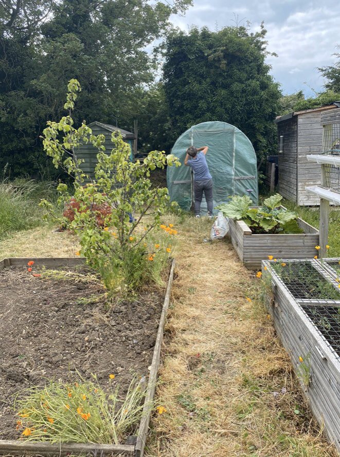 We look forward to being able to run sessions for young people again at the allotment 🤞Staff have been spending some time outside and keeping it going in the meantime.. #teamwork #teamtcs