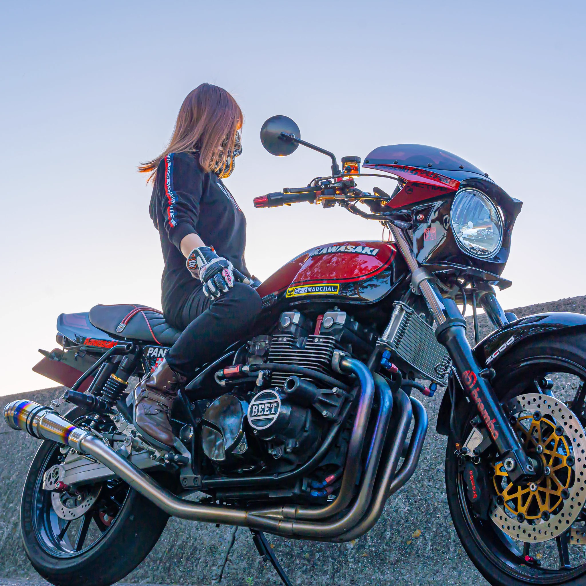 𝐒ちゃん🌸猫Photo Rider on X: 
