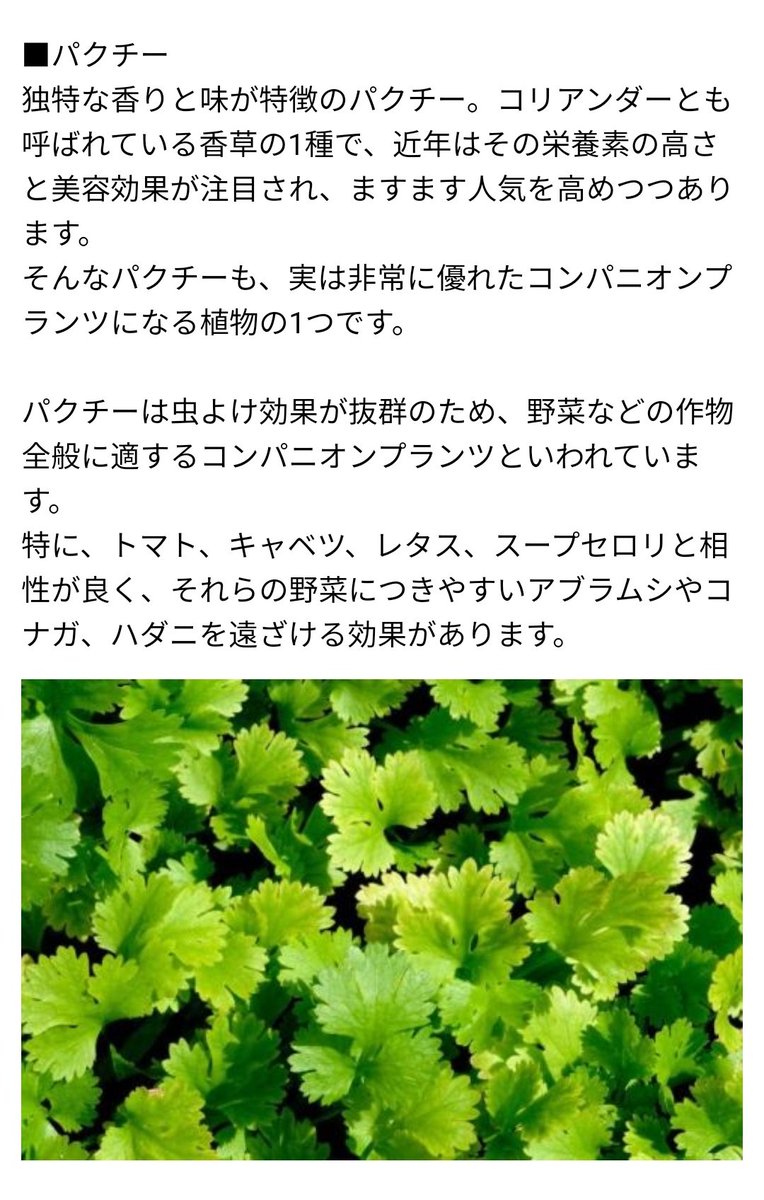 やけに仏教に詳しいフリーザ ほっほっほ これはすばらしい発明ですね パクチーがむしよけになると聞いたこともありますしね ザーボンさん つぎの惑星探索のさいには さっそくモリテツヤさんスタイルで探索してみましょうか やけに仏教に詳しいフリーザ ほっほっほ これはすばらしい発明ですね パクチーがむしよけになると聞いたこともありますしね ザーボンさん つぎの惑星探索のさいには さっそくモリテツヤさんスタイルで探索してみましょうか