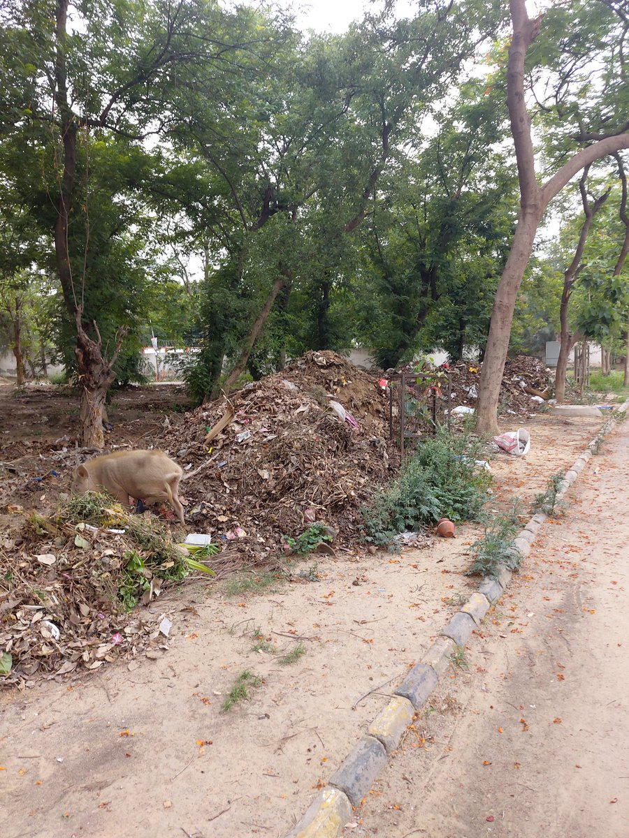 welfare_c1's tweet photo. Beautiful Entrance of our block.. Thanks to MCG @MunCorpGurugram @cmohry @DC_Gurugram @PMOIndia @jawaharyadavbjp @Maheshyadavbjp @Dchautala https://t.co/XcUsfjyYe9