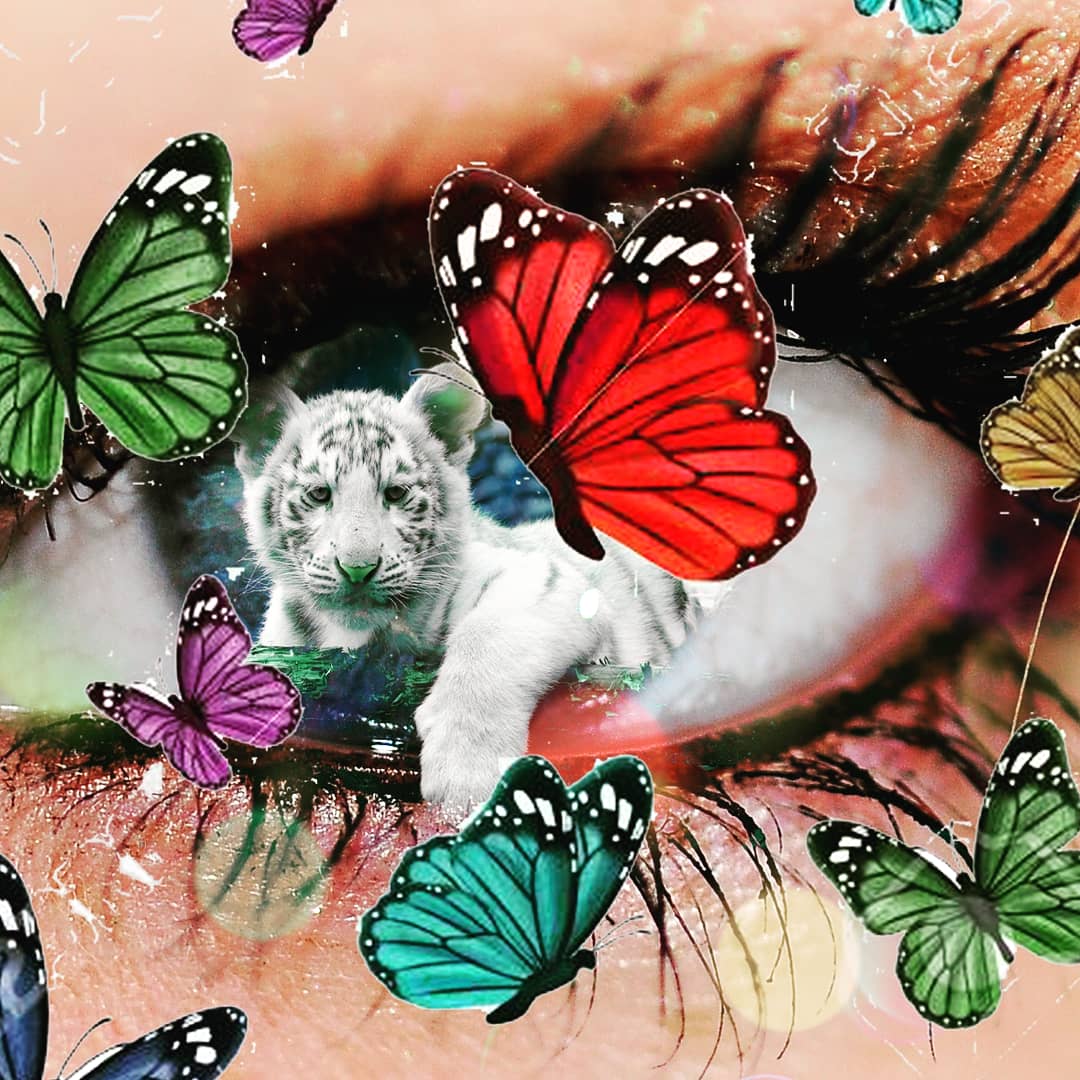 ANEESAHMAD6's tweet photo. Before and after 
How to Make Photo manipulation In Adobe Photoshop
See here complete video 
https://t.co/DU7xfFYKbH
#shawcreative #shawps #shawdoubleexposure #photomanipulationart #photoshoptipsandtricks #photomania_ #photomanipulationartist #photoshopmanipulation #photography https://t.co/BsnMeUzwqu